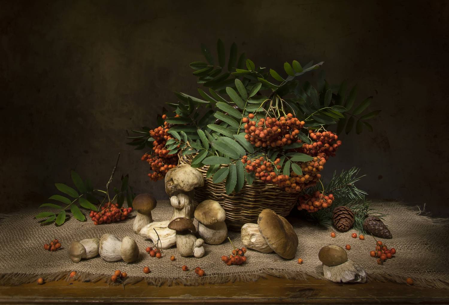 натюрморт, грибы, боровики, белые, рябина, Татьяна Феденкова