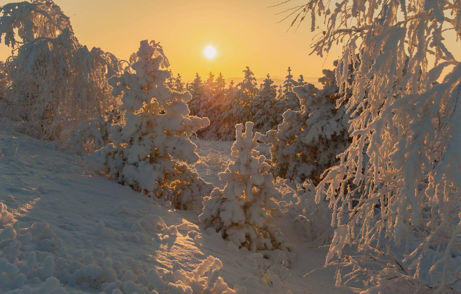 , Шустиков Дмитрий