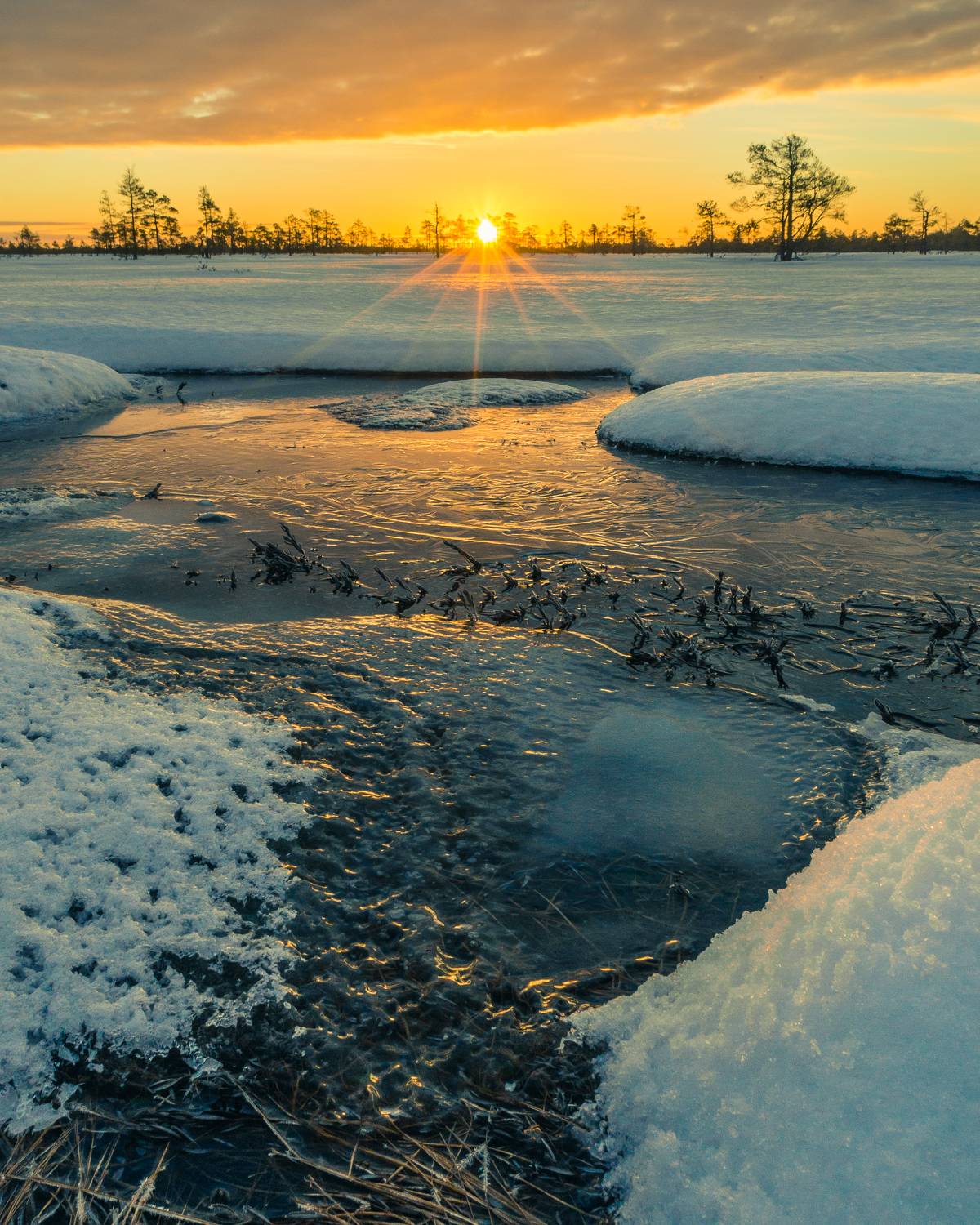 #harjumaa, #kõnnusuursoo, #eesti, #estonia, #estoniabogs, #eestirabad, #bog, #bogs, #nature, #loodus, #eestiloodus, #ilusadeestipaigad, #visitestonia, #terviserajad, #hikingtrails, #sunrise, #sunrisephotography, #sunrisephotos, #sunrise_sunset_photogroup, Nikolai Mordan