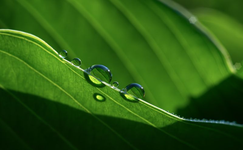 ... фото превью