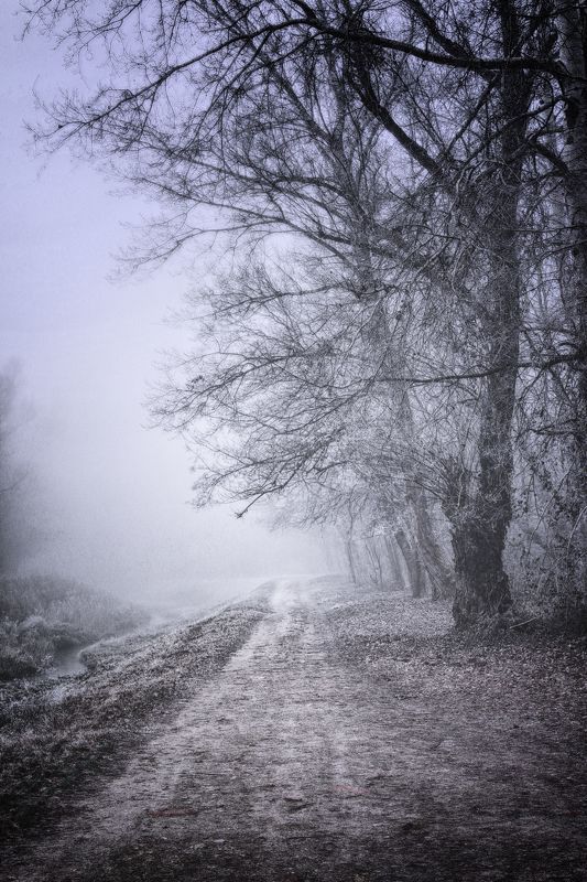 Winter walk фото превью