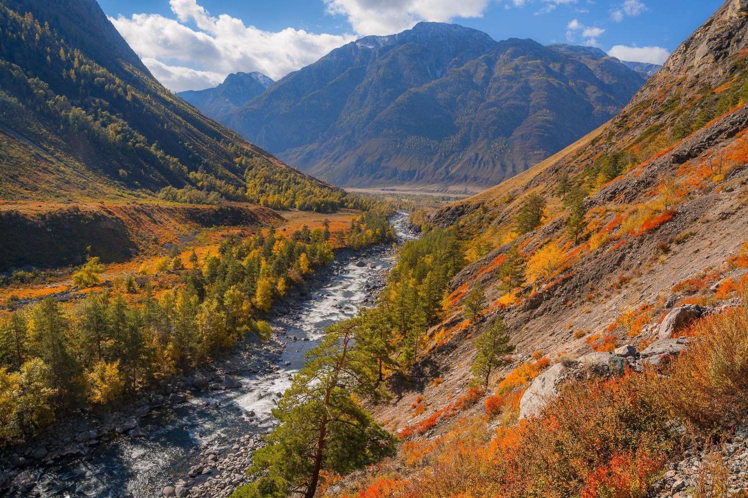 россия, горный алтай,р.чульча,осень, Андрей Поляков