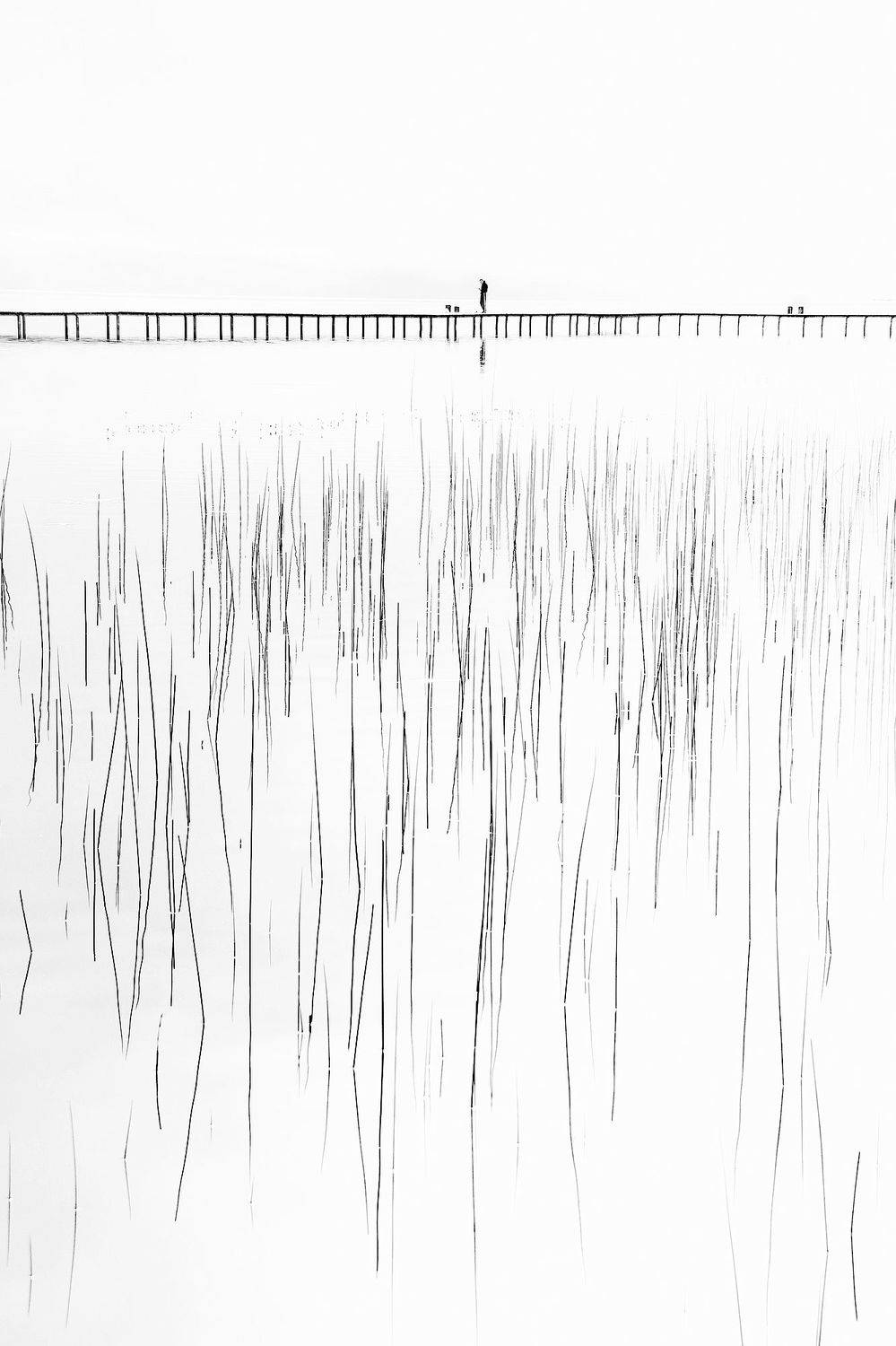 , Елена Лаврова