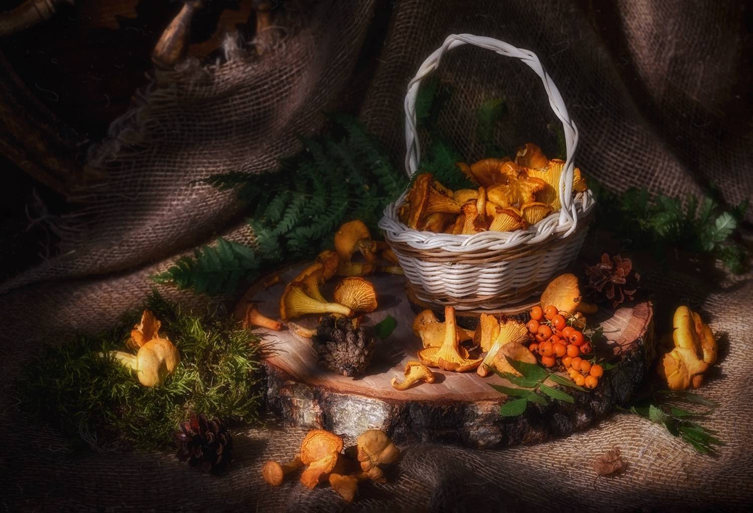 #осень #лисички #грибы #корзинка, J.V.S
