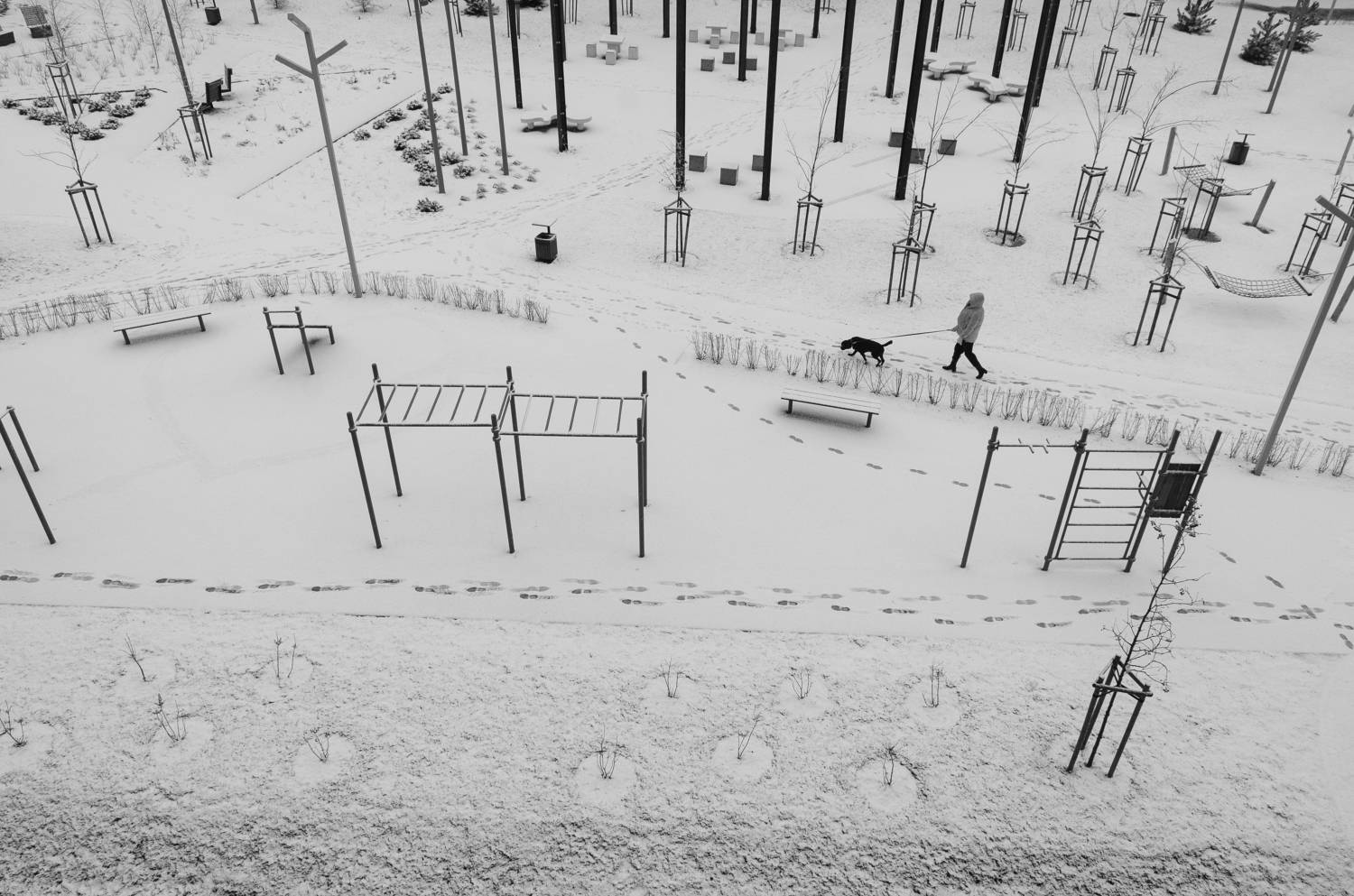 , Гайдук Евгений