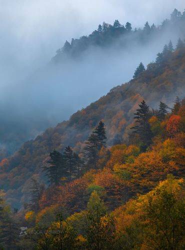 Туман в горах