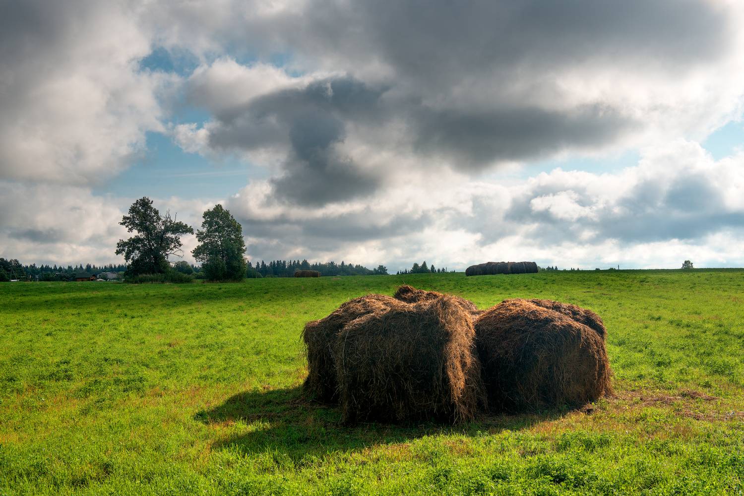 , Борис Леваков