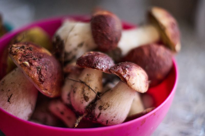 Тихо наохотились... фото превью