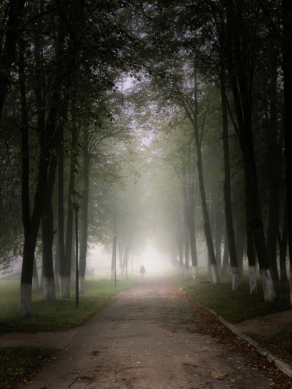 Туманная Дорога фото превью