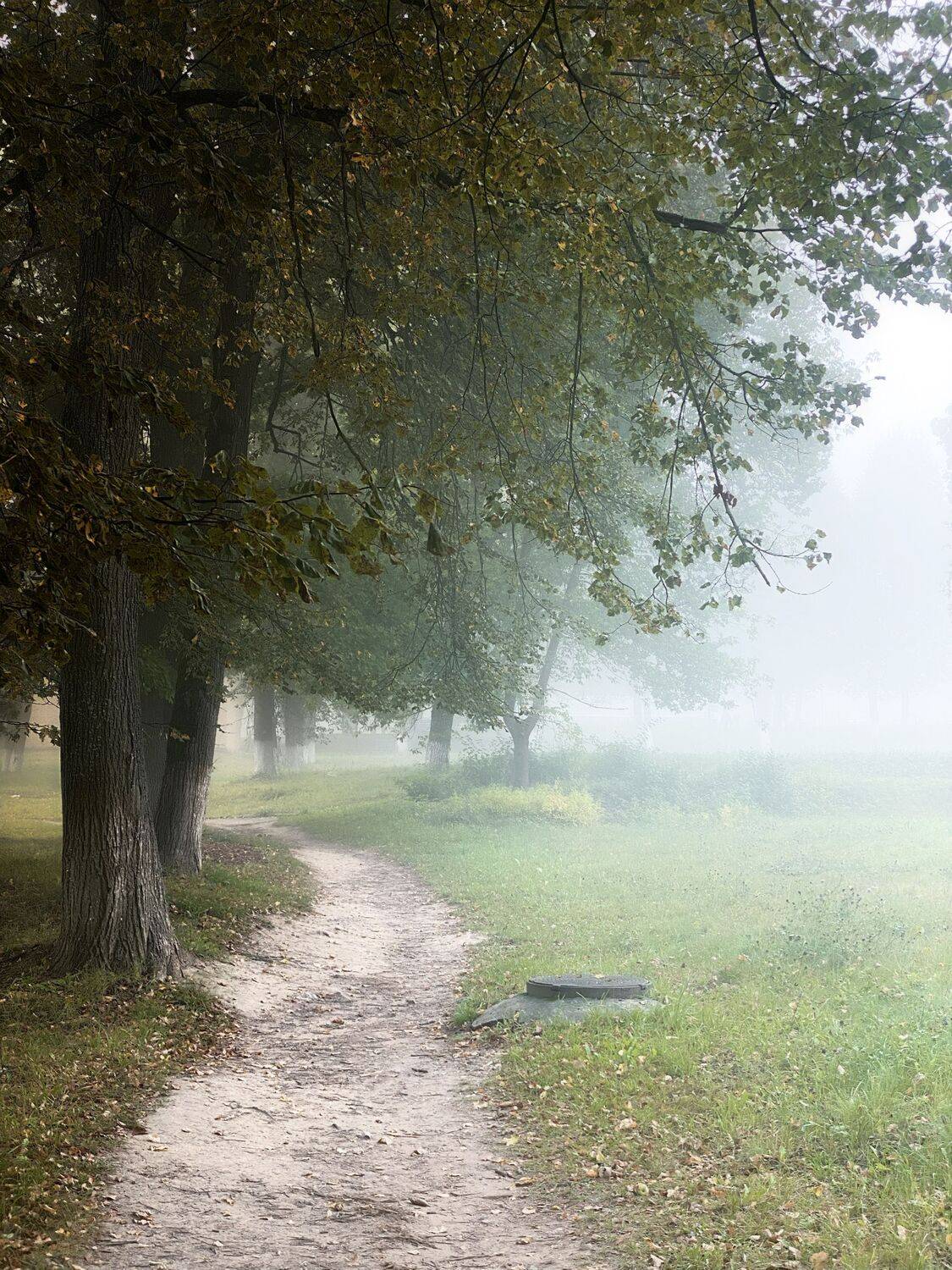 , Загруев Михаил