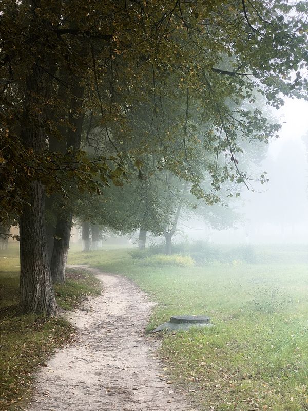 Туманная Тропа фото превью