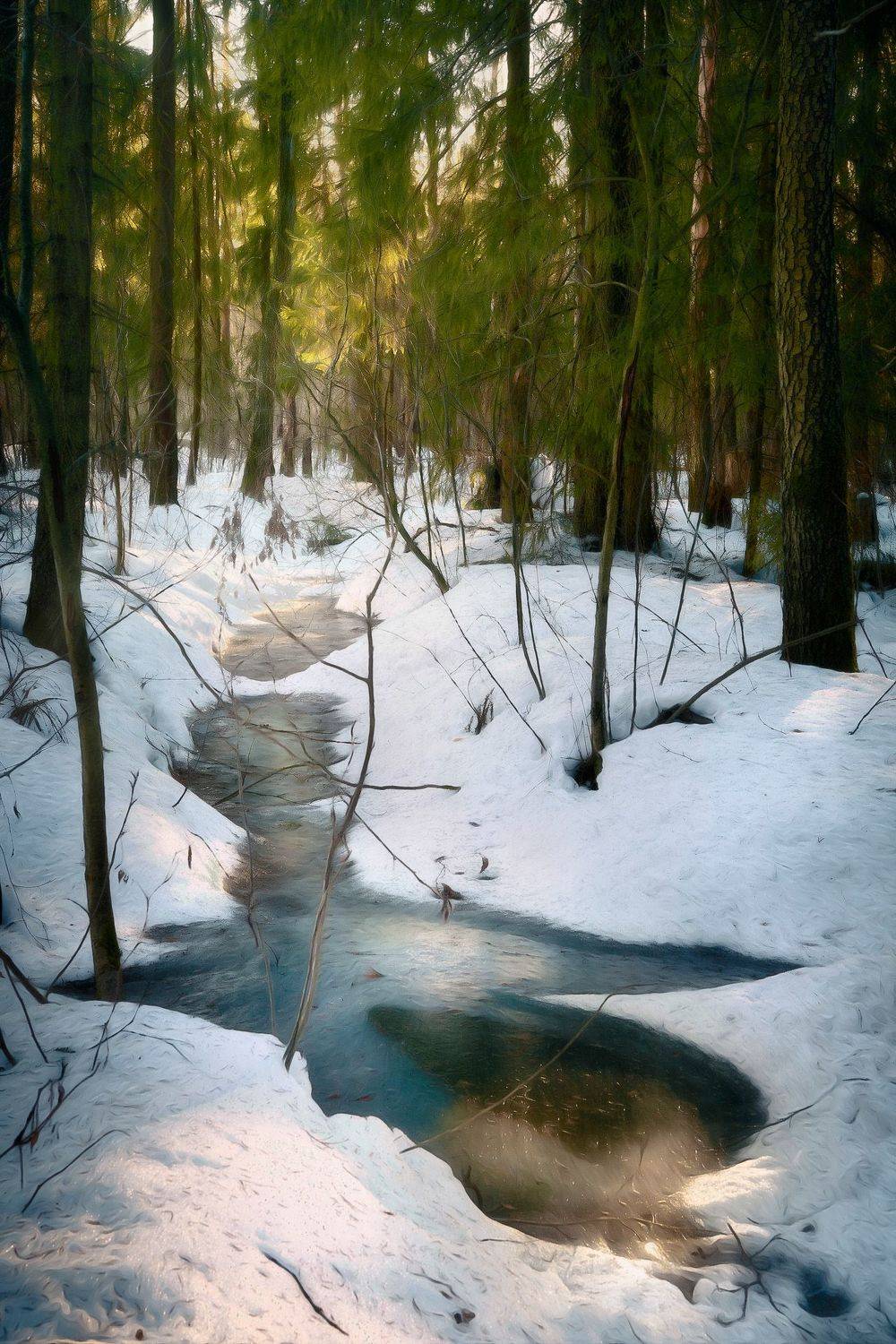 зима, лес, Валерий Вождаев