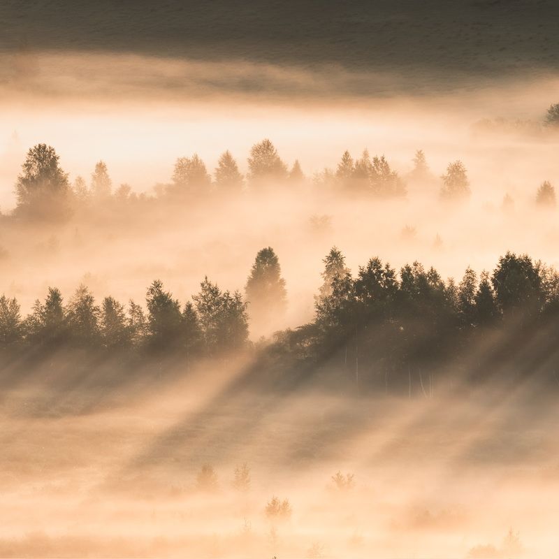 В первых лучах Хакасии…. In the first rays of Khakassia… фото превью