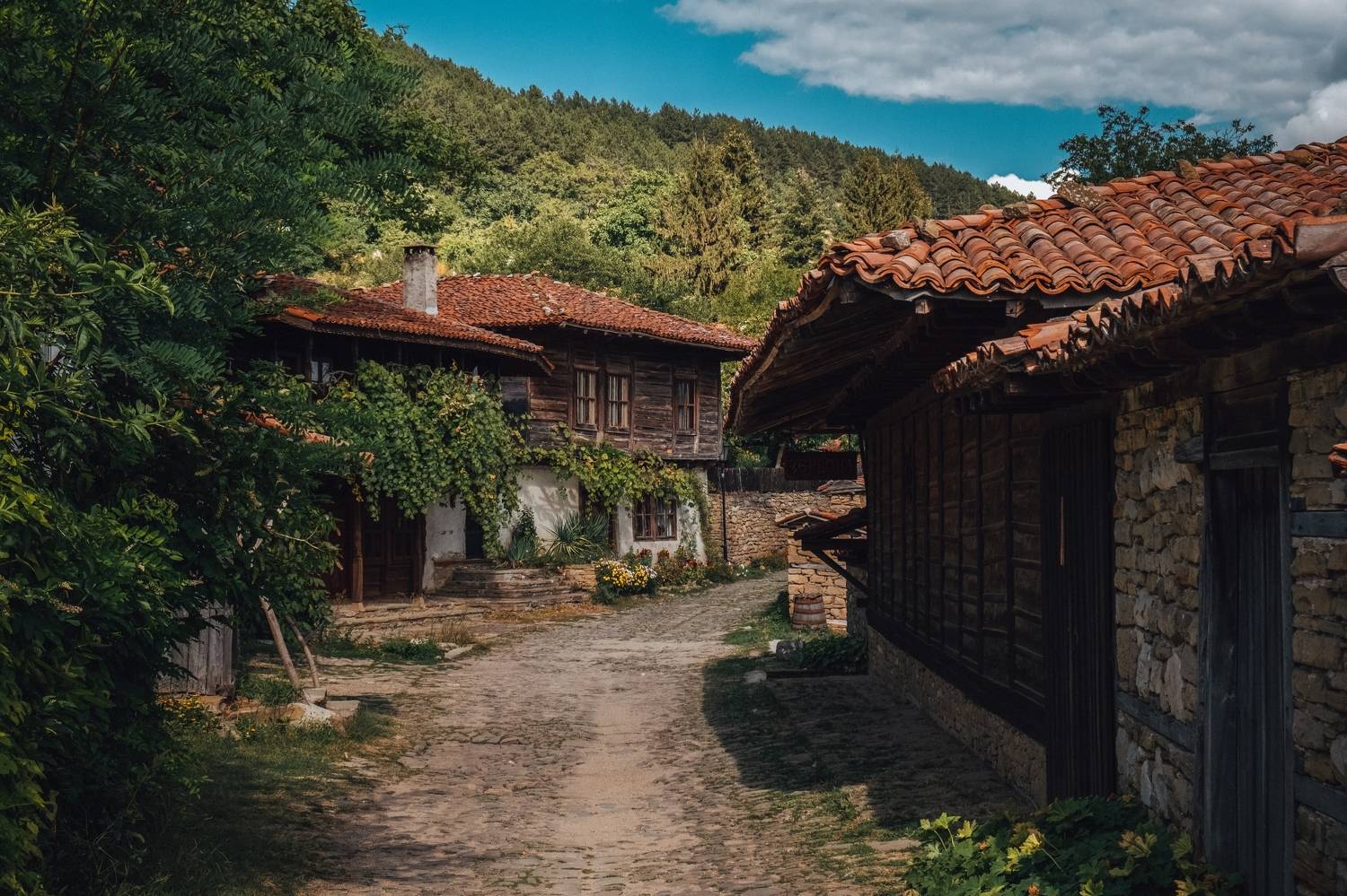 bulgaria,zheravna,travel,green,white,flowers,summer,exterior,building,house,жеравна,българия, Борислав Алексиев
