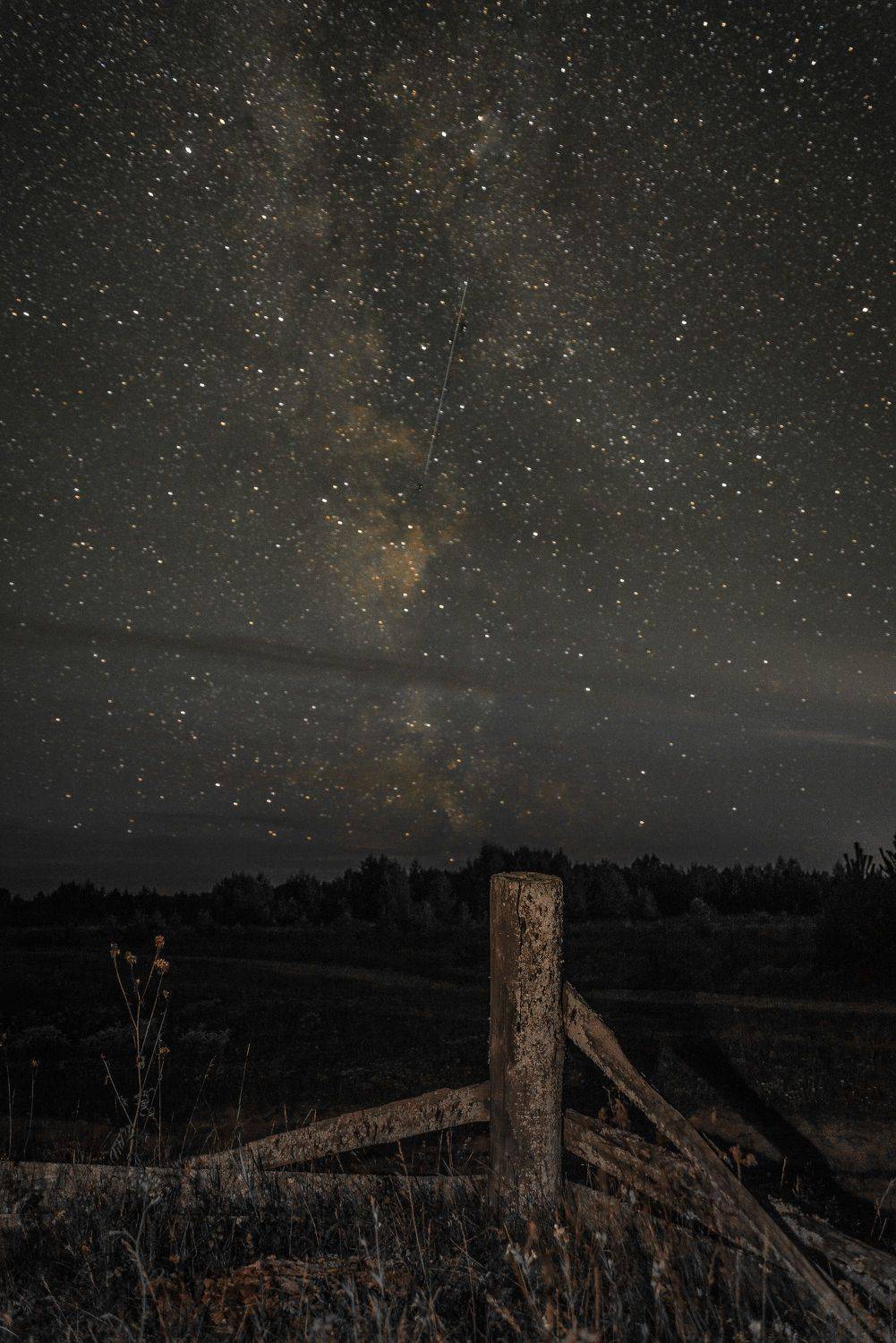 , Шуплецов Алексей