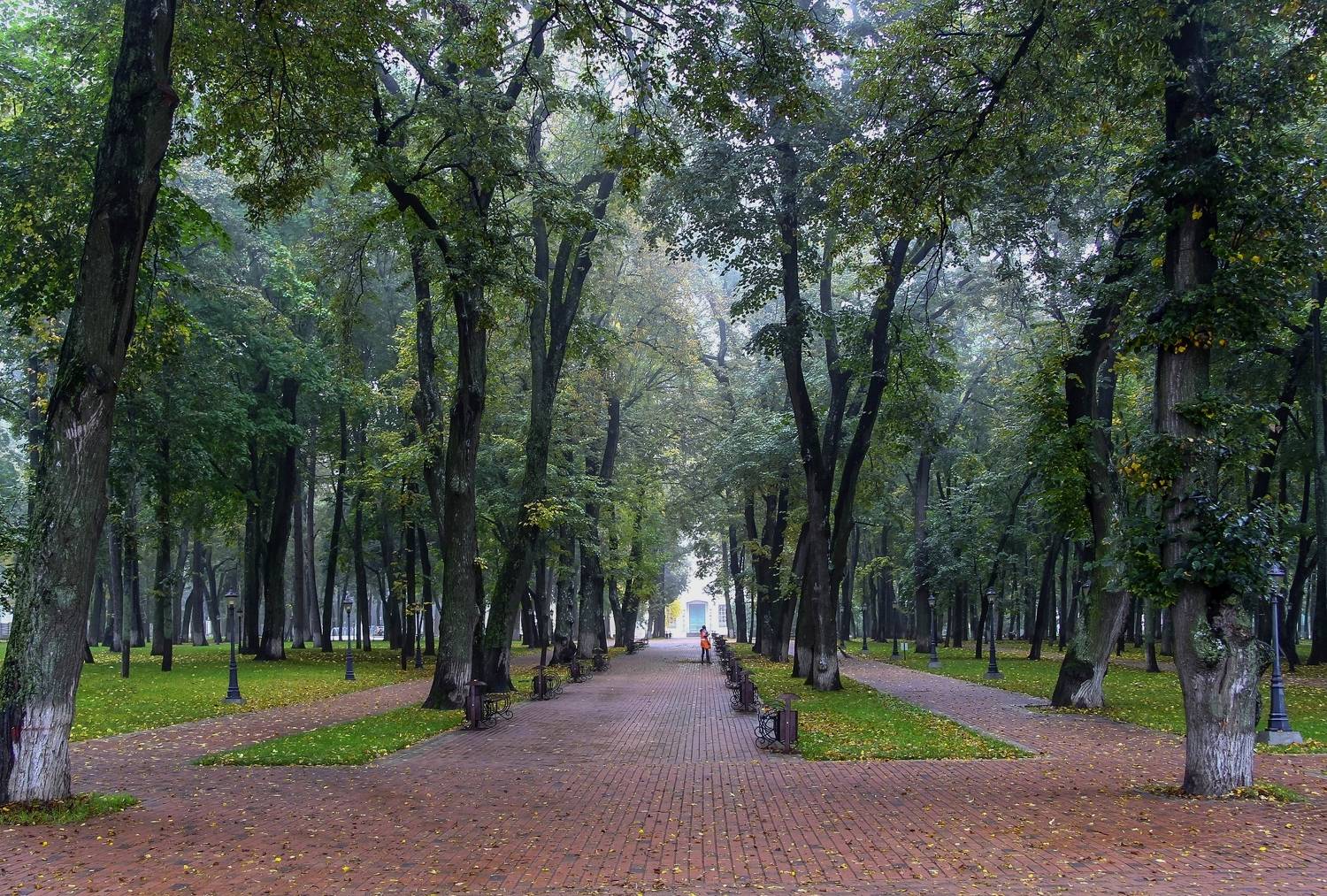 , Лайко Марина