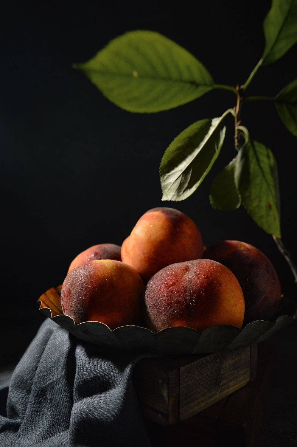 , Дина Полухина