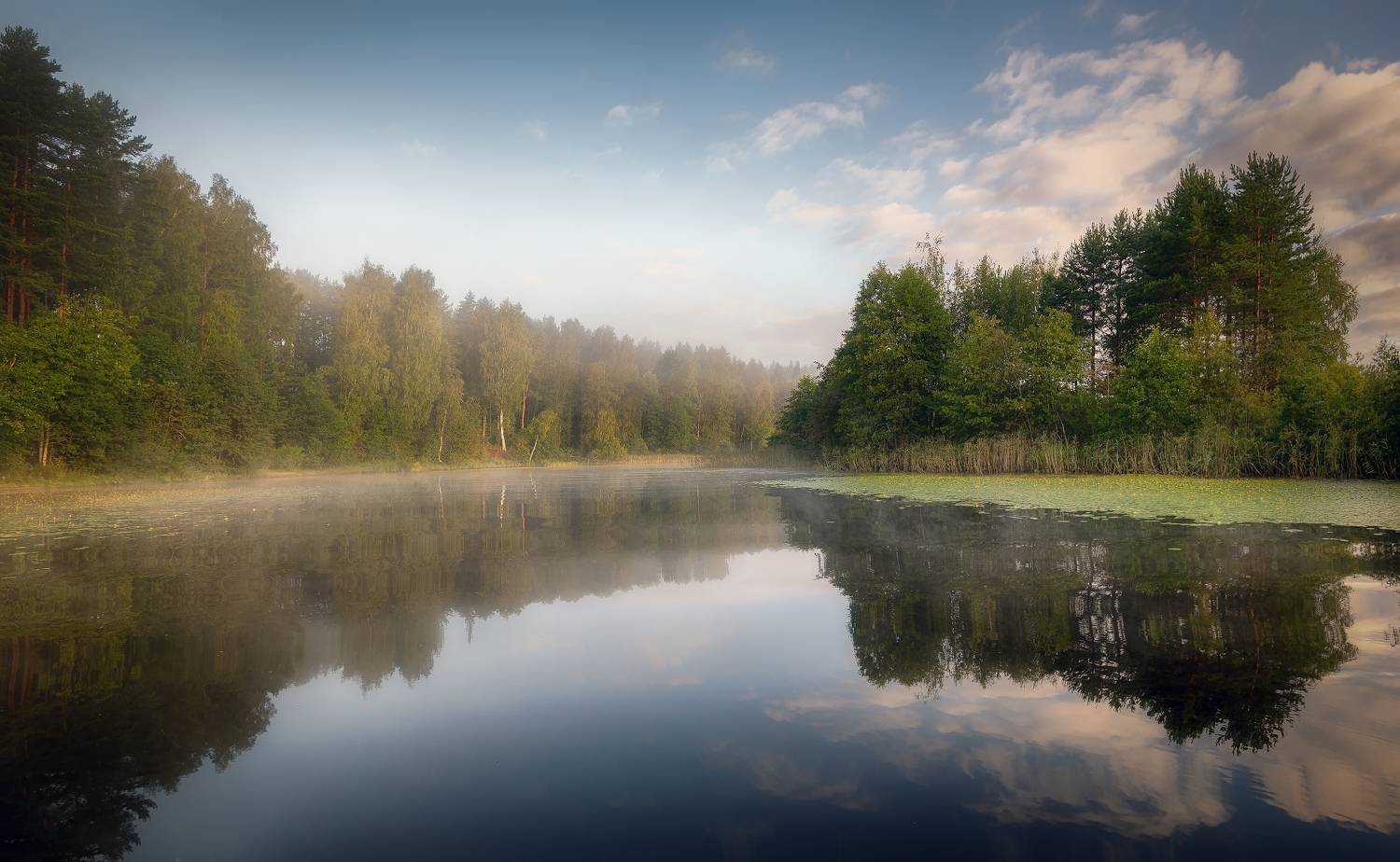 утро, река, туман, лес, тишина, Сергей Аникин