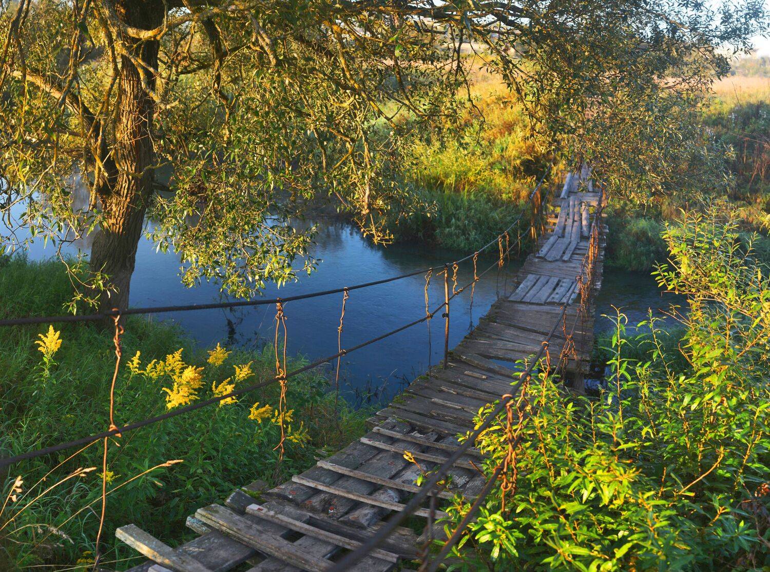 мостик, река,утро, Александр Свистков