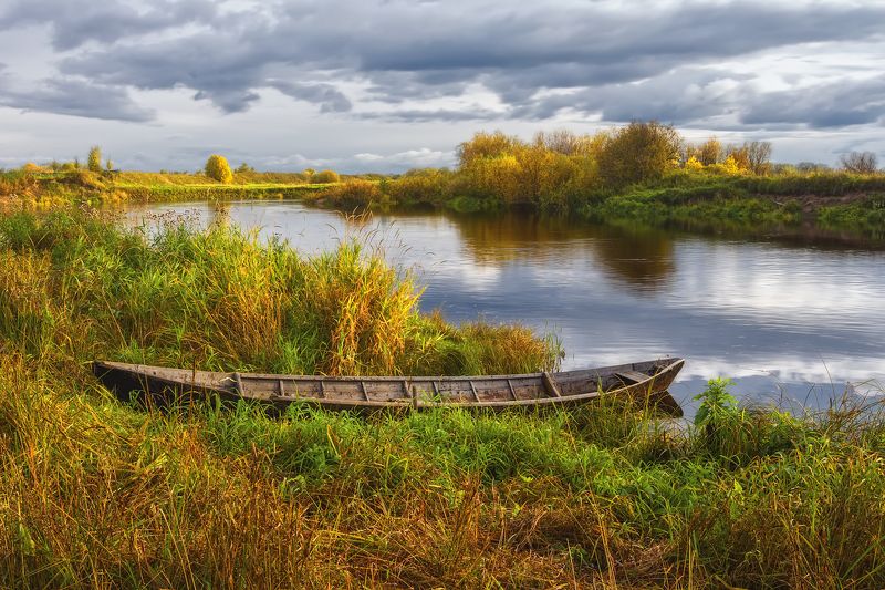 В прибрежных зарослях фото превью
