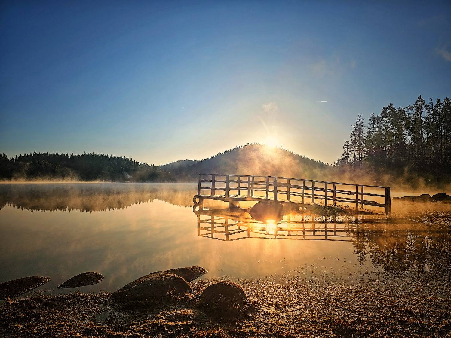 , Герчев Николай