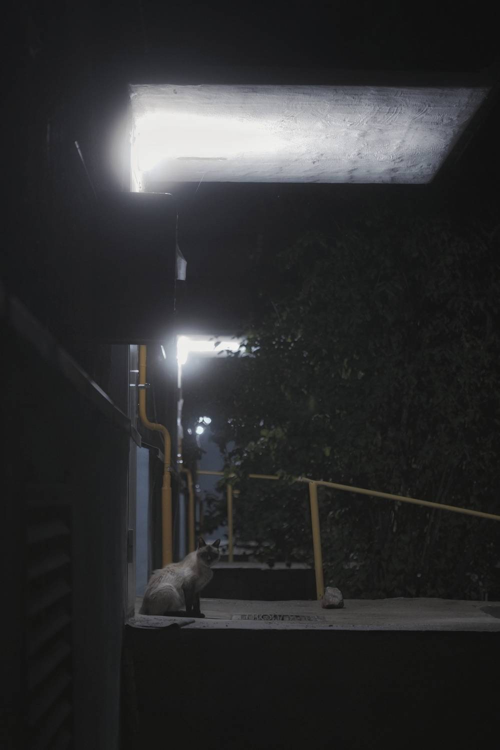 ZapWorld,zap,zap shevtsov,Сергей Шевцов,темное,ночь,туман,яркое,Необычное,лучшее фото,креативное,креатив,винтажное,пленочное, Sergey Shevtsov