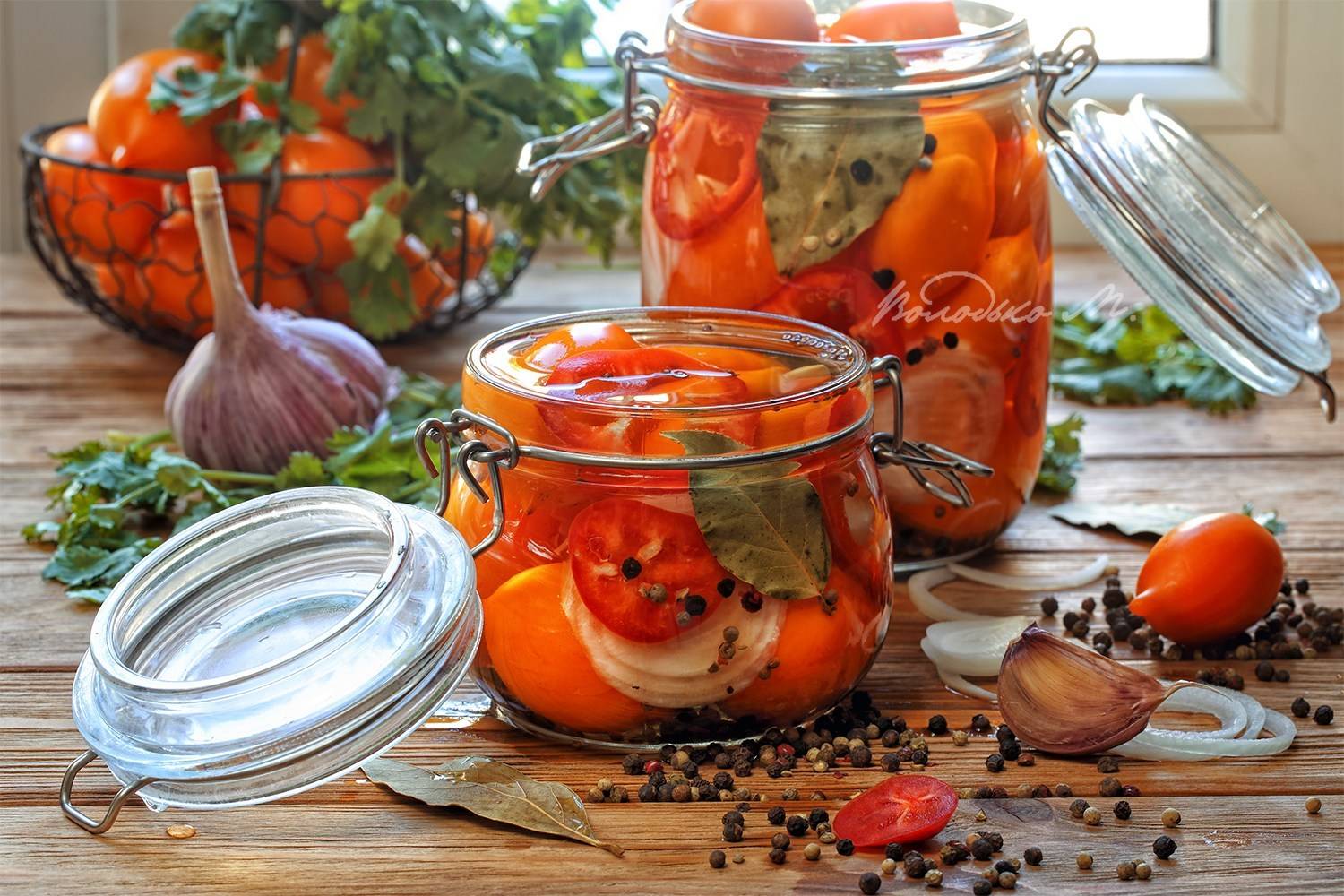 , Марина Володько