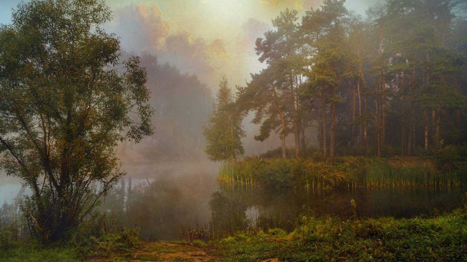 , Сушкевич Светлана