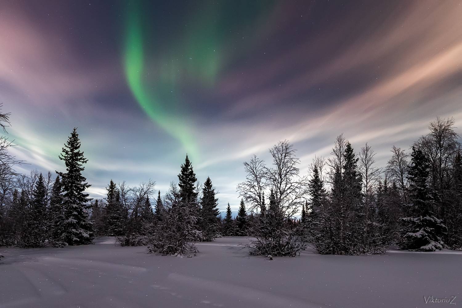 северное сияние, полярное сияние, заполярье, aurora borealis, polar lights, Куликов Виктор