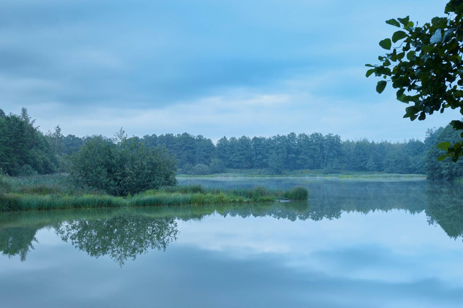 озеро, лес, деревья, Валерий Вождаев