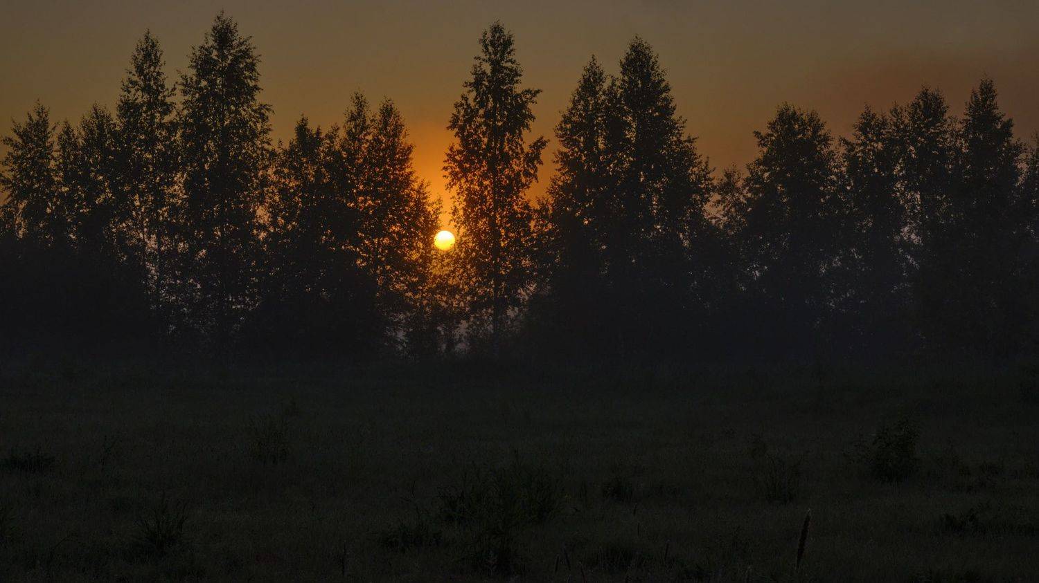 , Валентина