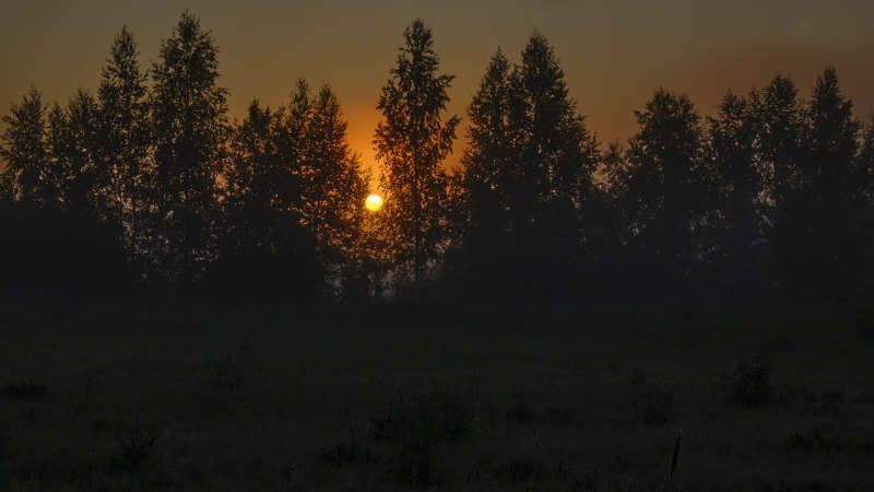 На рассвете фото превью