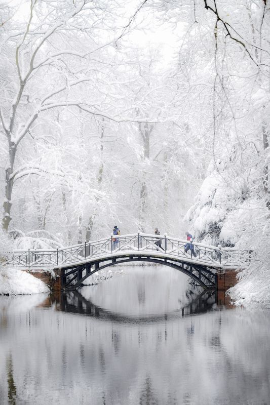 Bridge фото превью