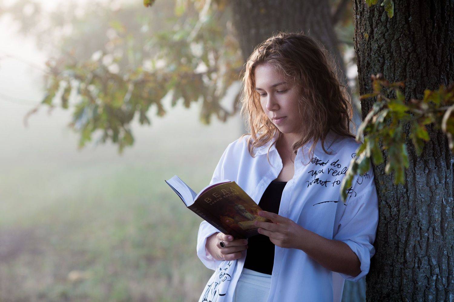 , Константин Побылой