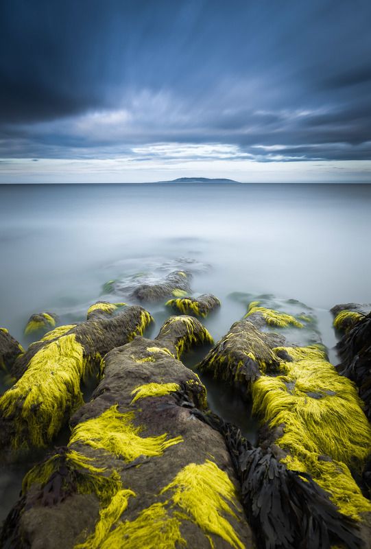 Ivaylo petrov фото превью