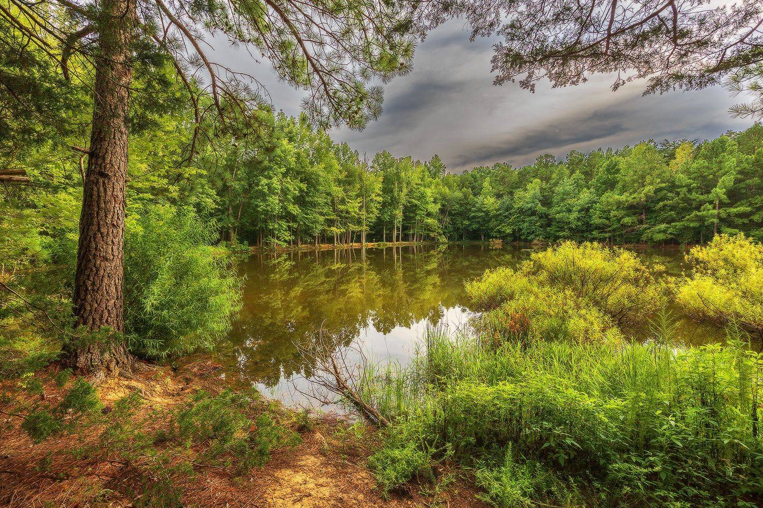 , Леонид Дьяченко