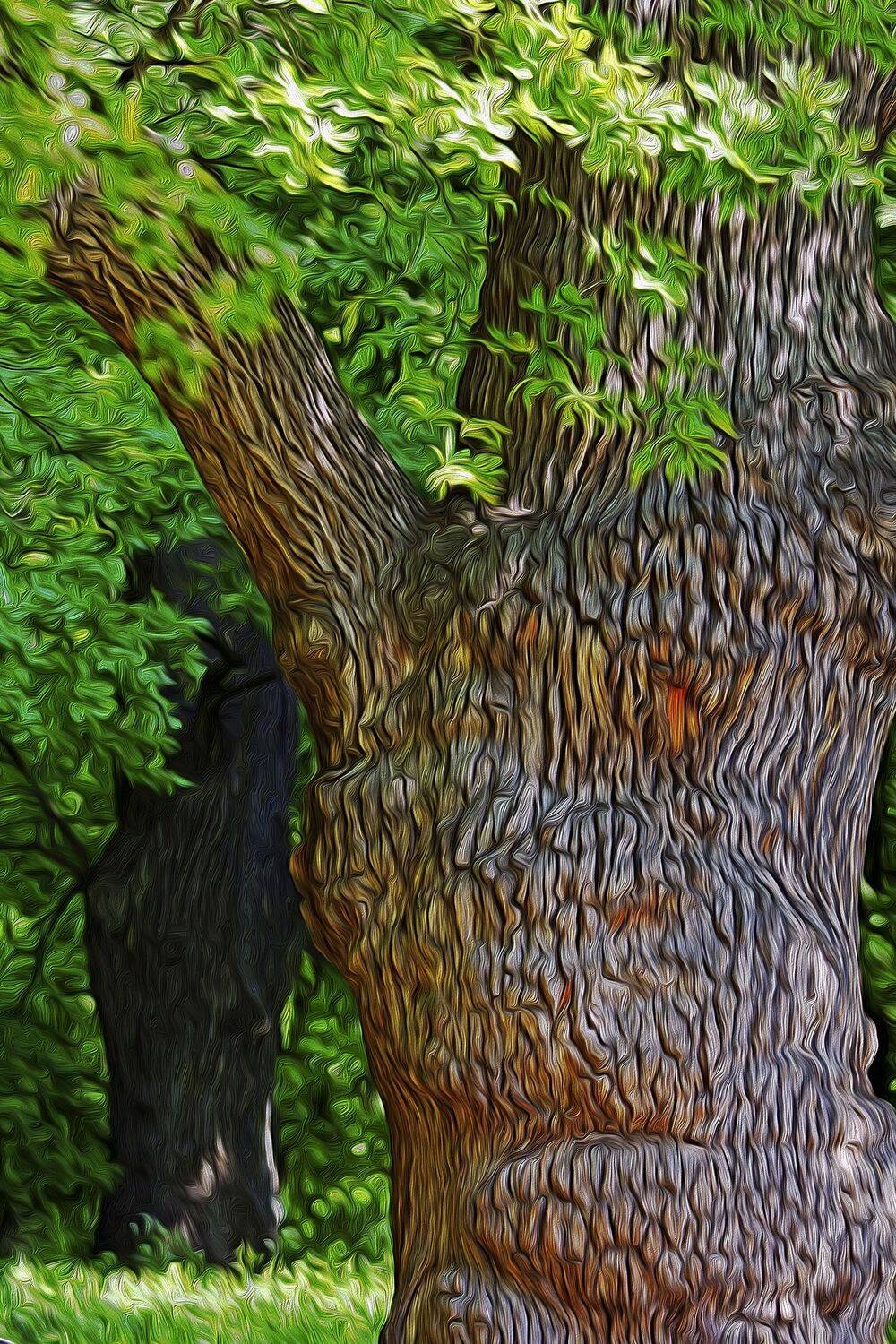 , Андрей Петросян