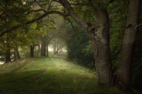 Осеннее ожидание