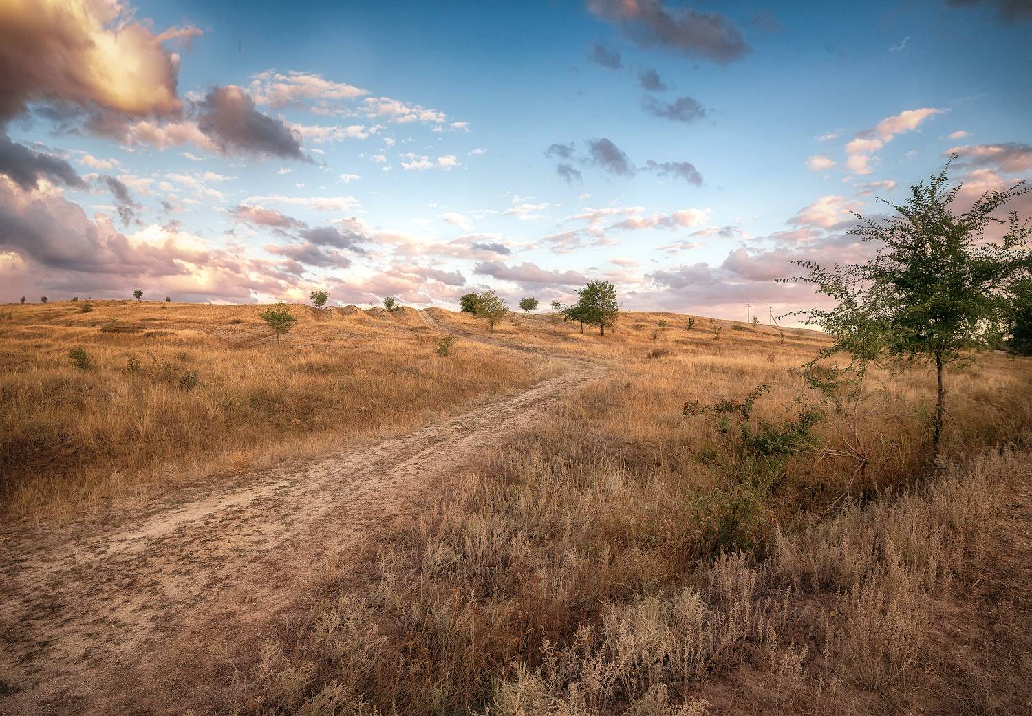 степь, бурьян, дорога, Сергей Аникин
