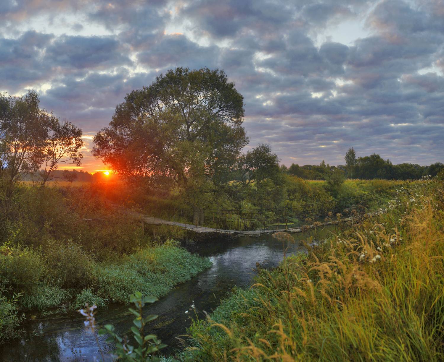 рассвет, река , поле ,мостик, Александр Свистков