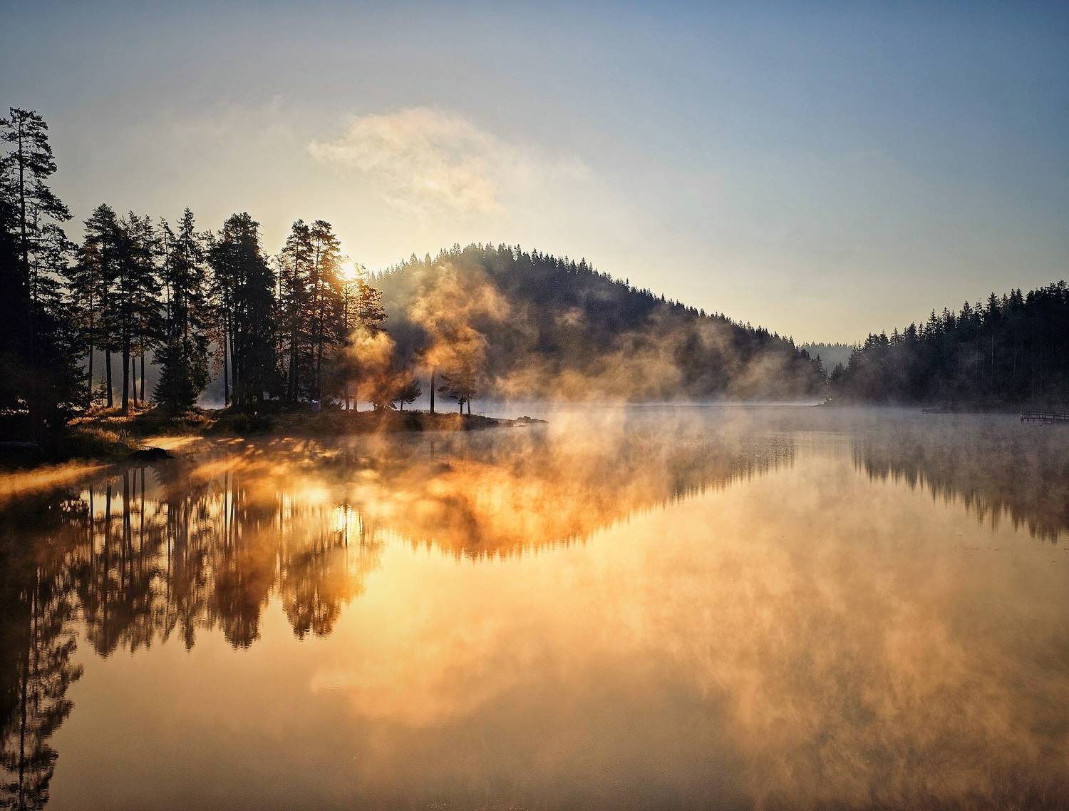 , Герчев Николай