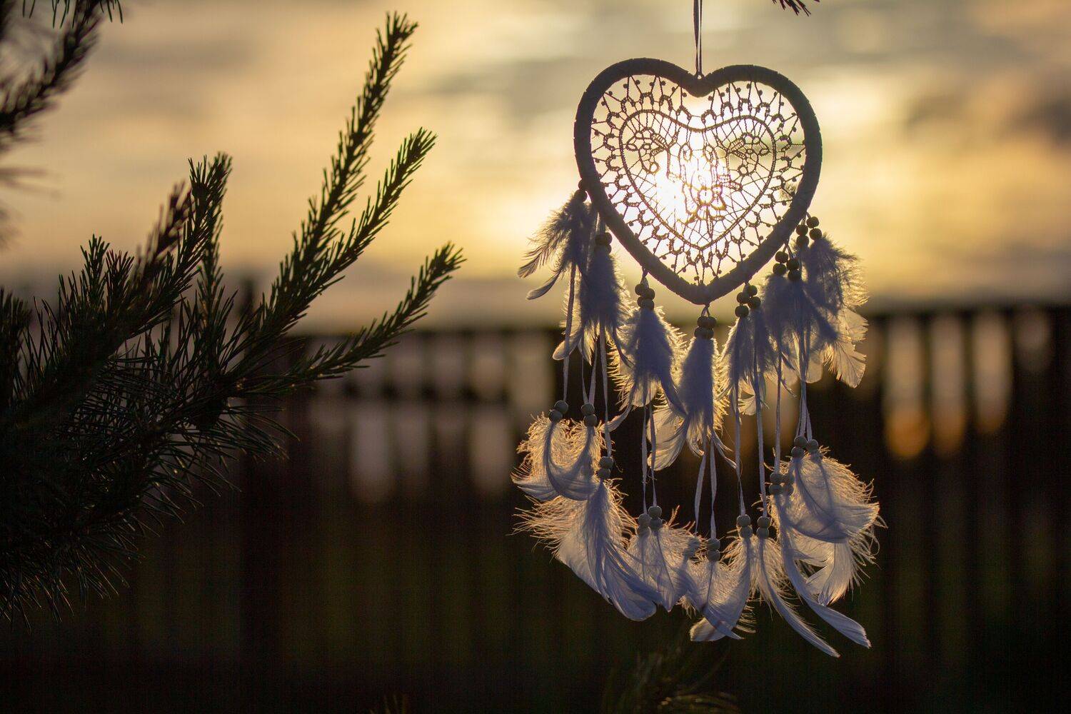 , Сергей Фаренюк