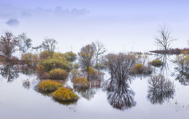 fall in korea фото превью