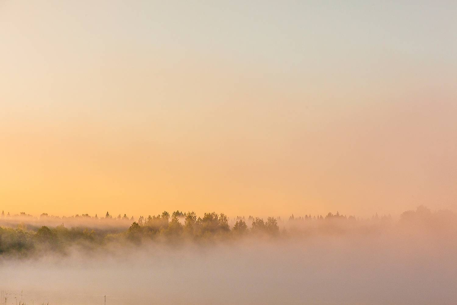 , Напалкин Станислав