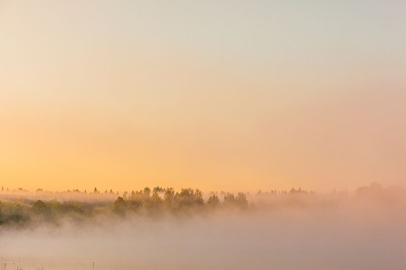 Пойма реки Явань фото превью