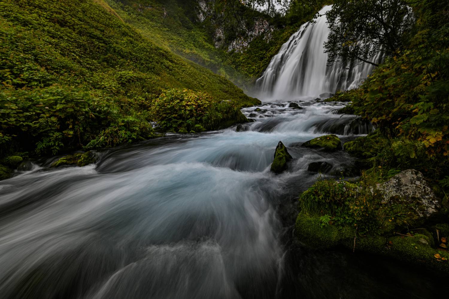 , Александр Мухин