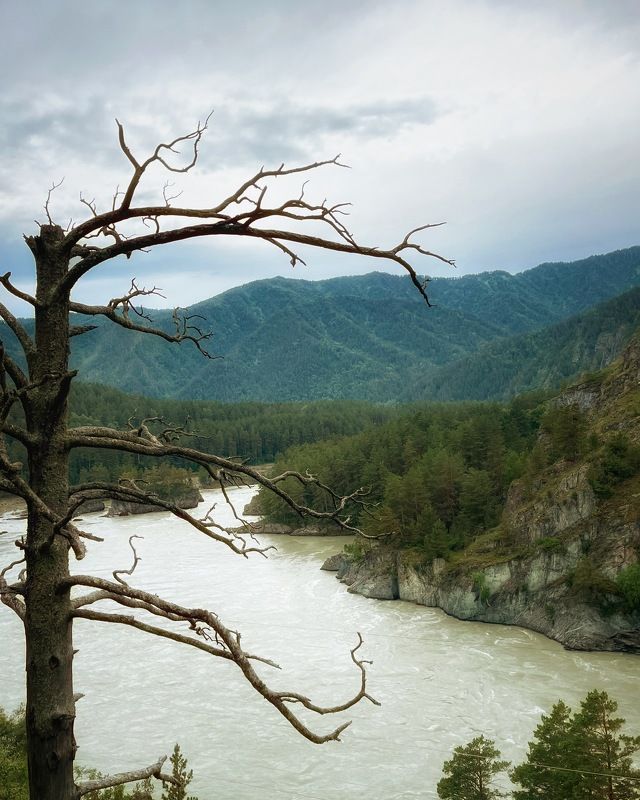 Катунь фото превью