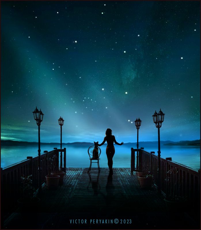 лунная ночь фото превью