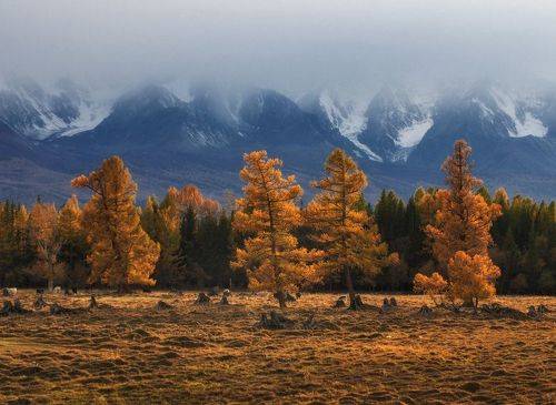 Осенний Алтай