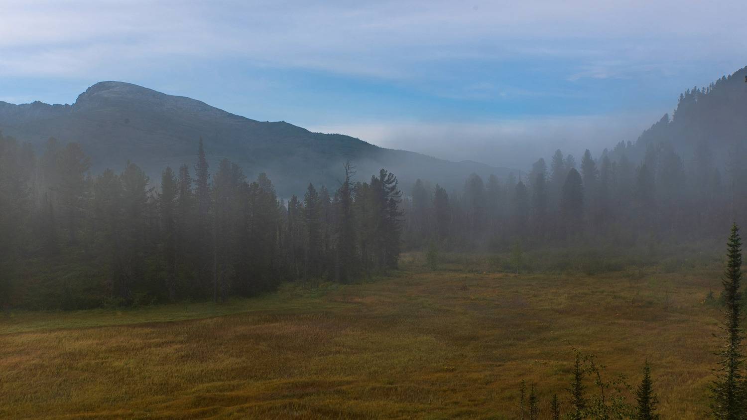 ергаки болото туман утро лето, Юрий Мальцев